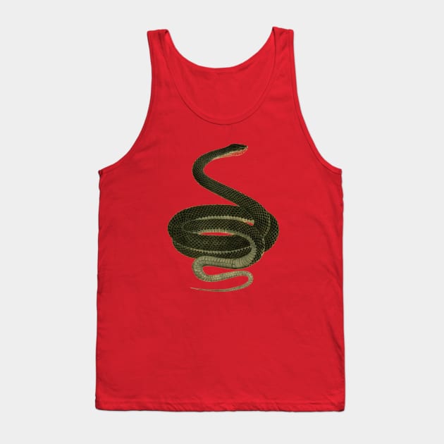 serpent,cobra,reptile,viper,venom,lizard,rattlesnake,king cobra,dragon,hydra,poison,venomous,plumber's snake,pythonidae,pythons,auger,python,squamata,serpentine,worm,big,ophidian,rattlesnakes,medusa,snakebite Tank Top by vabontchi